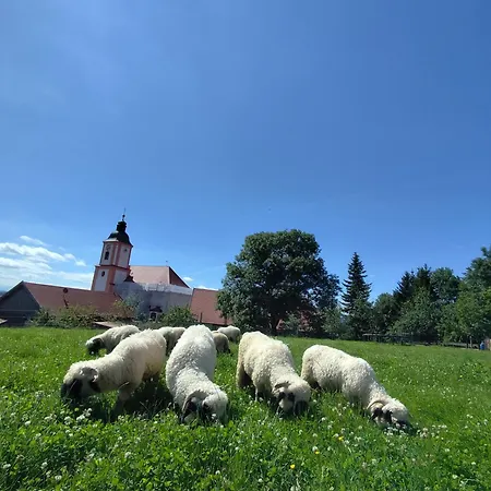 Lechrain - 5 Sterne - Fuer 6 Personen - Biohof Zwischen Ammersee Und Lech * Reichling